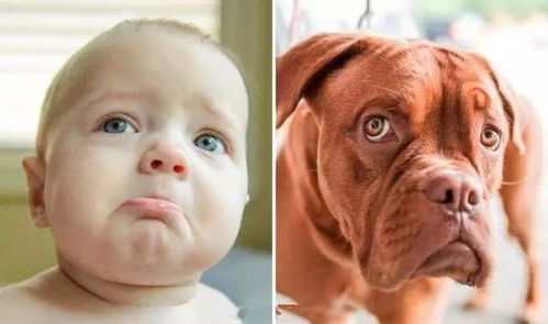 如何改掉孩子經常生氣的毛病 育兒專家 十種原因,十個方法