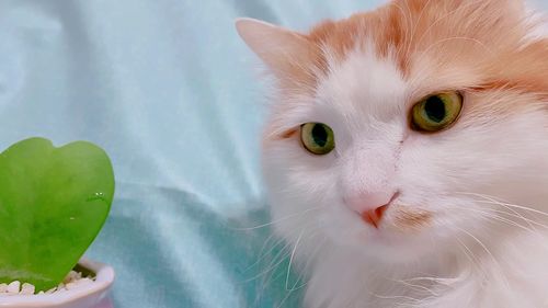 在麻麻心里,你是最可愛的寶