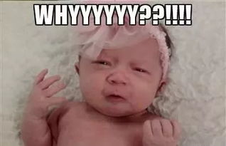 軟萌可愛的小寶寶,也可以是爆笑的實力表情帝啊哈哈哈