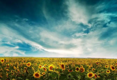 幼升小家長對孩子的寄語