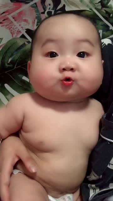 萌寶肥嘟嘟 白白嫩嫩豬寶寶，天真可愛惹人憐